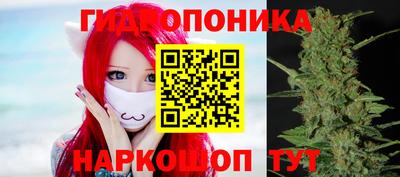 дмт Малгобек