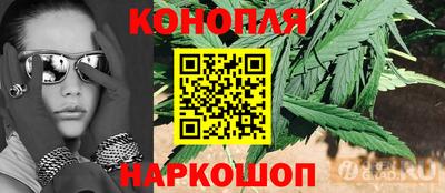 шишки Малоярославец