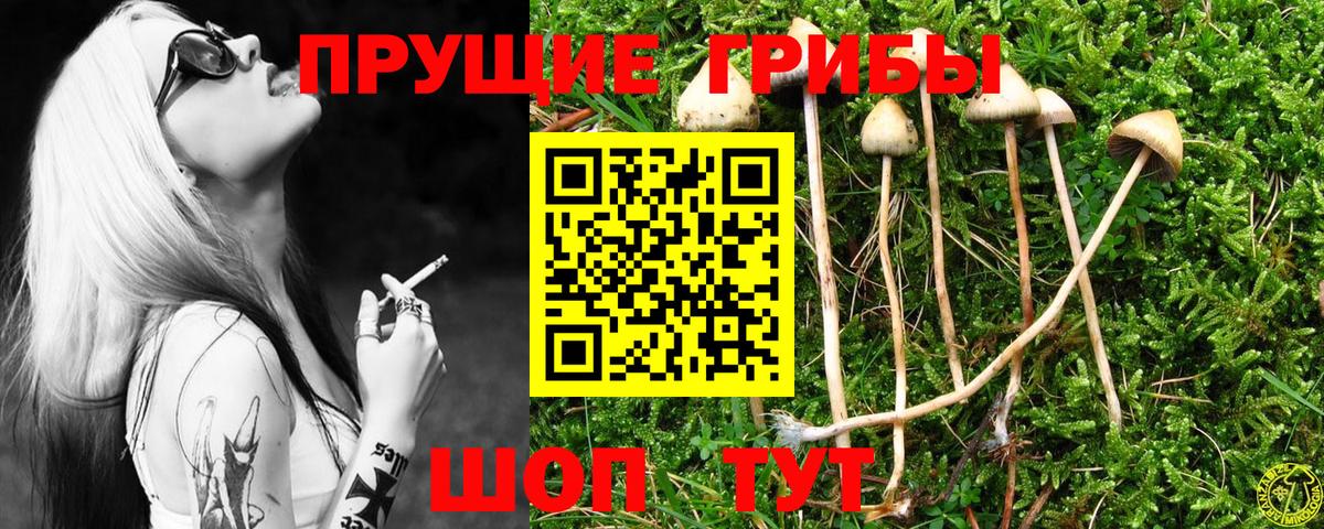 Галлюциногенные грибы MAGIC MUSHROOMS  Вход с VPN  Вичуга 
